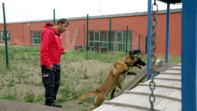 AFAD'ın kahraman köpekleri