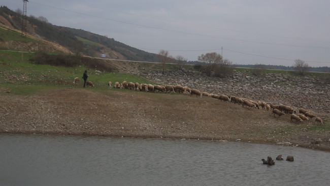 "Cılız yağmur İstanbul'un su sorununa çare olamaz"