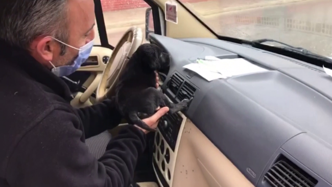 Polis köpek yavrusunu ekip otosunda ısıttı