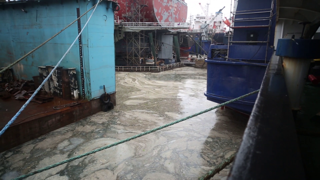 Müsilaj, Tuzla Tersanesi'nde gemilerin tamir edildiği alanda dahi bir hayli baskın.