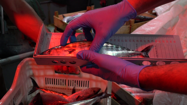 Fotoğraf: TRT Haber