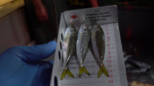 Fotoğraf: TRT Haber