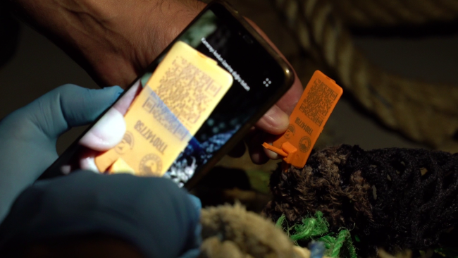 Fotoğraf: TRT Haber