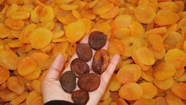 Malatya kayısısında hedef Uzakdoğu pazarı