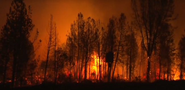 İtfaiye görevlileri California yangınını söndürmek için savaşıyor