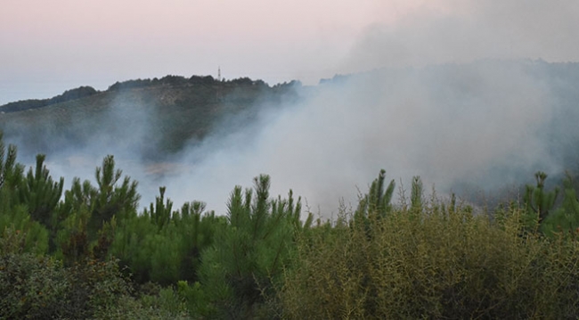 Aydos Ormanı'nda yangın