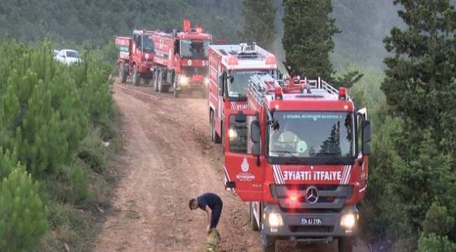 Aydos Ormanı'nda yangın