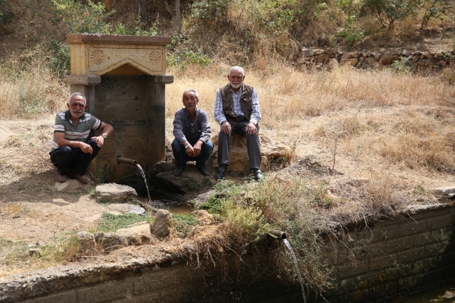 yabani%20hayvanlar%20i%C3%A7in%20%20%287%29.jpg