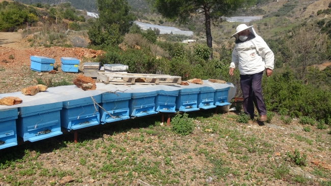 Yalancı bahar arıcıları vurdu
