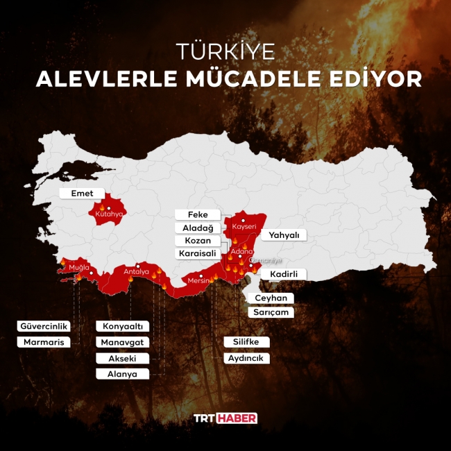 Grafik: Nursel Cobuloğlu / TRT Haber