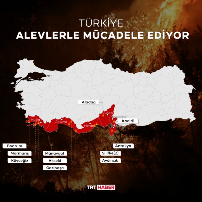 Bodrum'da yine orman yangını çıktı