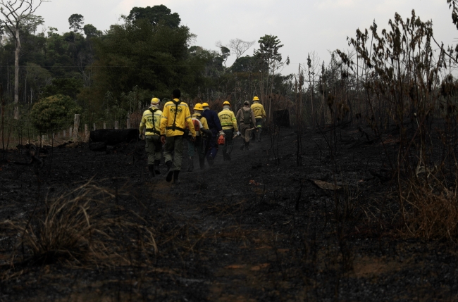 5 soruda Amazon Ormanları yangını