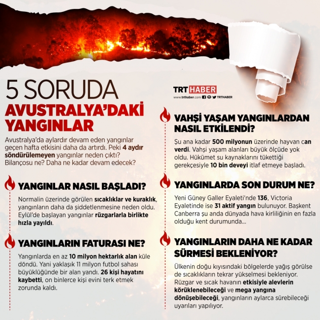 Grafik: Bedra Nur Aygün