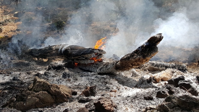 Kazdağları'nın eteklerindeki yangınlar söndürüldü