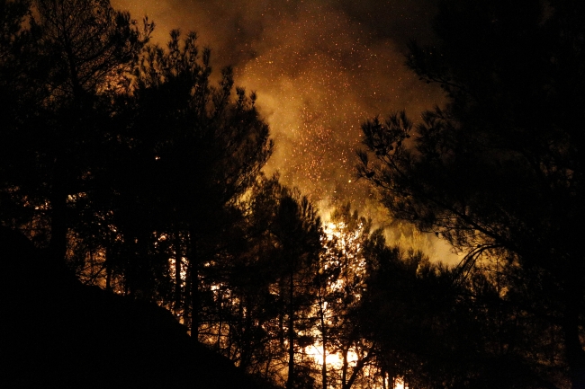 25 farklı noktadan alevler yükseldi. Fotoğraf: AA