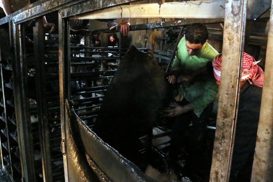 İdlib'de ekmek fırınında yangın