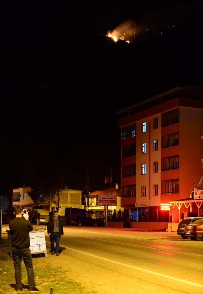 Giresun'da çıkan orman yangınları kontrol altına alındı