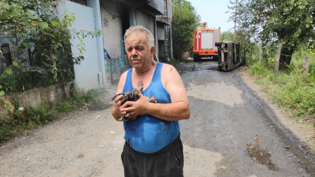 Zonguldak'ta çiftlik yangını: 12 bin hindi yavrusu telef oldu