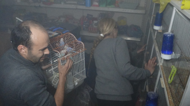 Antalya'da yangın: 6 çocuğu itfaiye ekipleri kurtardı