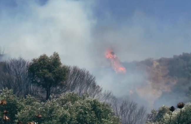 Marmaris'te orman yangınlarına bidonlu önlem