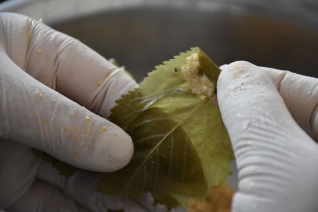 Malatya'nın sevilen lezzeti: Kiraz yaprağı sarması