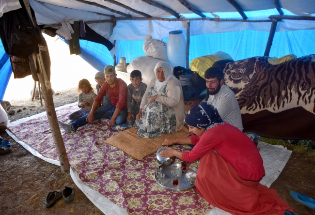 Göçerlerin tercihi Muş yaylası