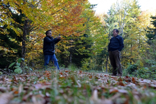 Giresun yaylaları ziyaretçilerini büyülüyor