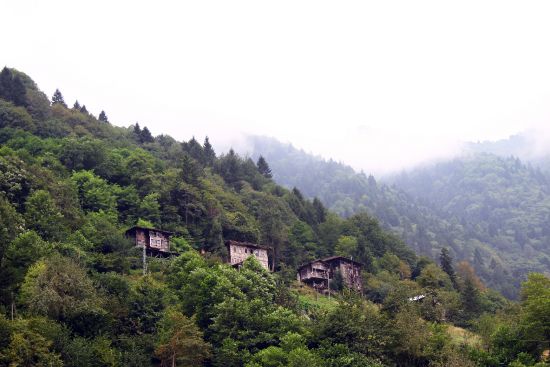 Huzur ve sükunet arayanların adresi: Gito Yaylası