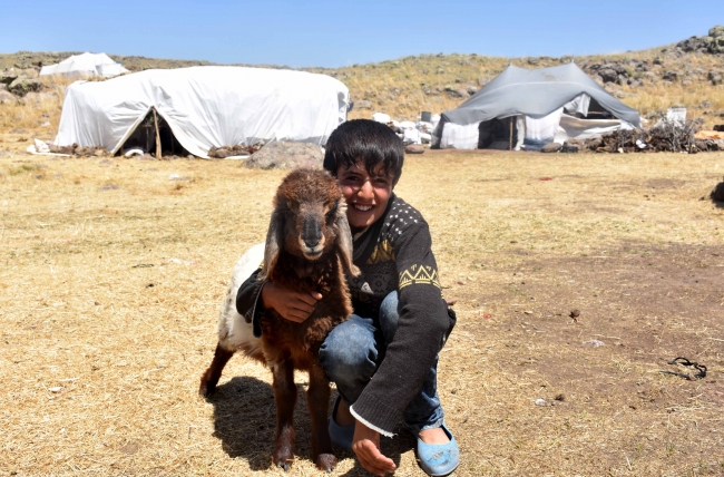 Göçerlerin tercihi Muş yaylası