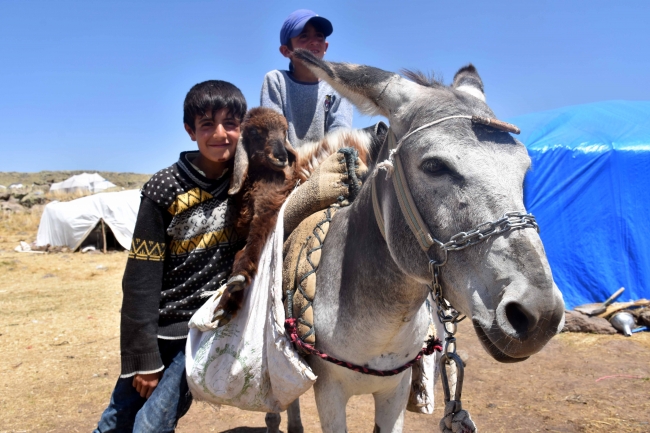 Göçerlerin tercihi Muş yaylası