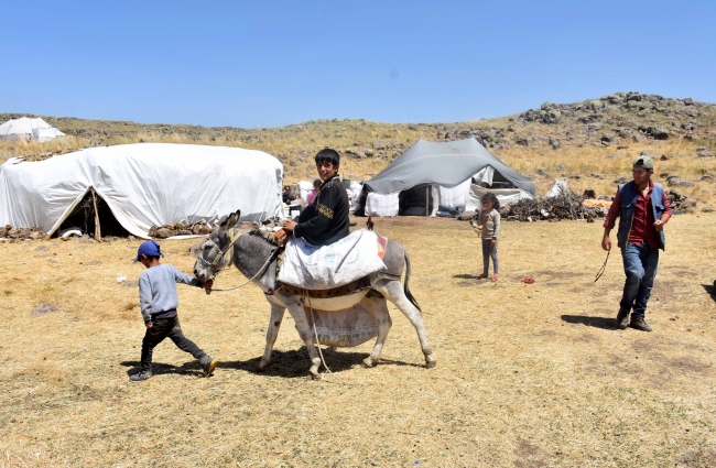 Göçerlerin tercihi Muş yaylası