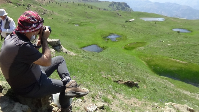 Akademisyenler 2 yeni ağaç türü keşfetti