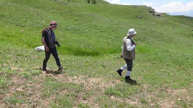 Akademisyenler 2 yeni ağaç türü keşfetti