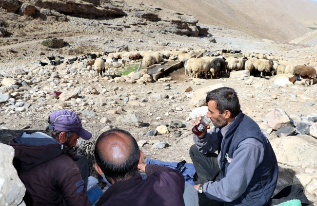 Fotoğraf: DHA Van Gevaş