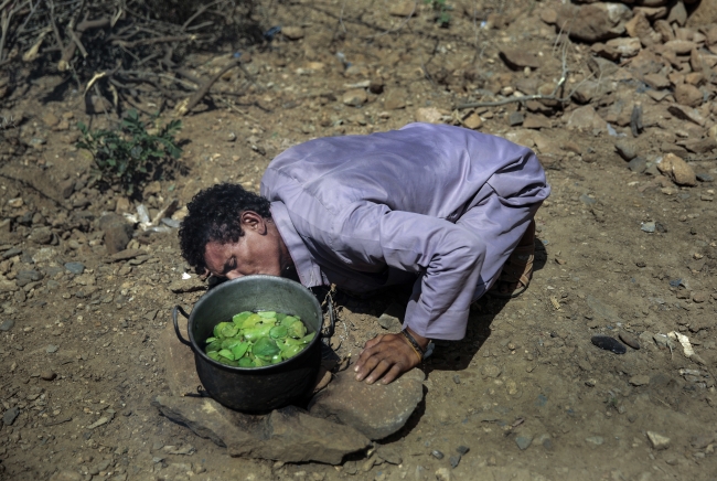 Yemenli babaların tek hayali çocuklarına yiyecek götürebilmek