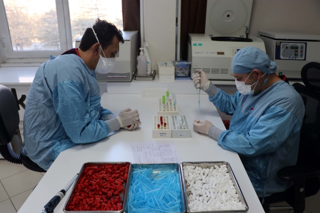 Yerli aşının Faz-2 süreci için gönüllüler aşılanmaya başlayacak