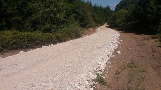 Orman yangınları için 'müdahale' yolları yapılıyor