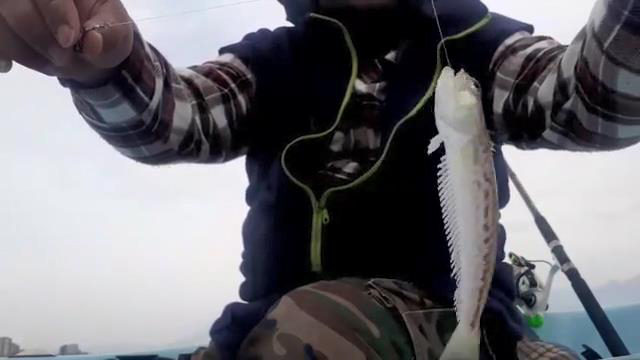 Zehirli balıkla temas etti, kolunda his kaybı oluştu