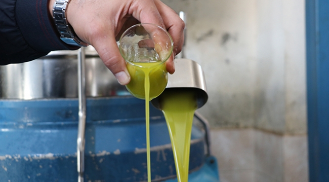 Hatay'da zeytinyağı zamanı: Litresi 20 liranın üzerinde satılıyor