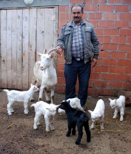 Başbakan Binali Yıldırım: Türkiye ekonomisi bu operasyonlardan olumsuz etkilenmez