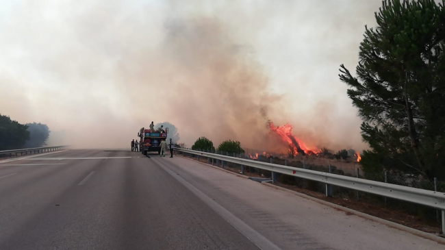 Çeşme'de yangın: Alevler otobana ulaştı, rüzgar enerji santrallerini tehdit ediyor