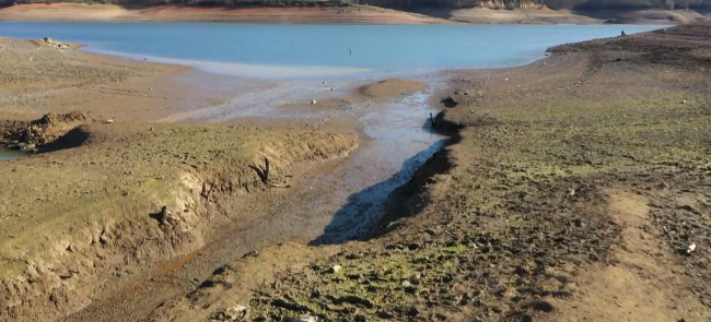 Fotoğraf: TRT Haber