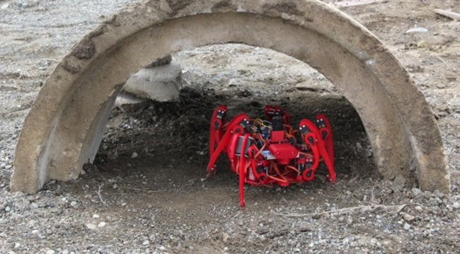 Bubi tuzaklarına yerli "Örümcek" çözümü