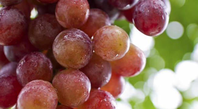 Sağlıklı kalbin sırrı bu 10 süper besinde!