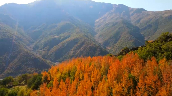 Fotoğraf: TRT Haber