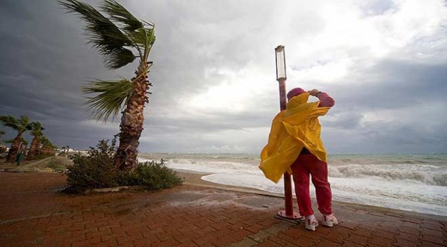 Avustralyadaki fırtına 40 bin ev ve iş yerini elektriksiz bıraktı