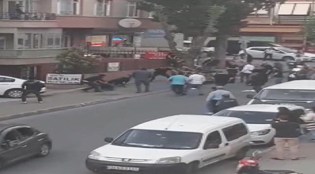 İstanbulda köpek saldırısı: 3 yaralı