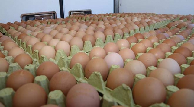 Tavuk yumurtası üretimi geçen yıla göre yüzde 2 5 arttı