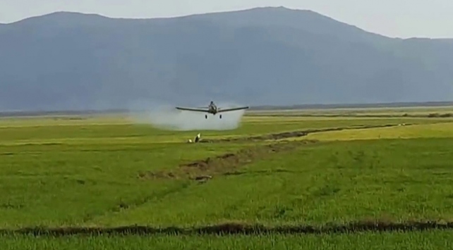 Kazakistan'da ilaçlama uçağı düştü