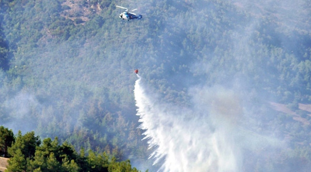 Hatayda orman yangınları: İki hektar alan zarar gördü